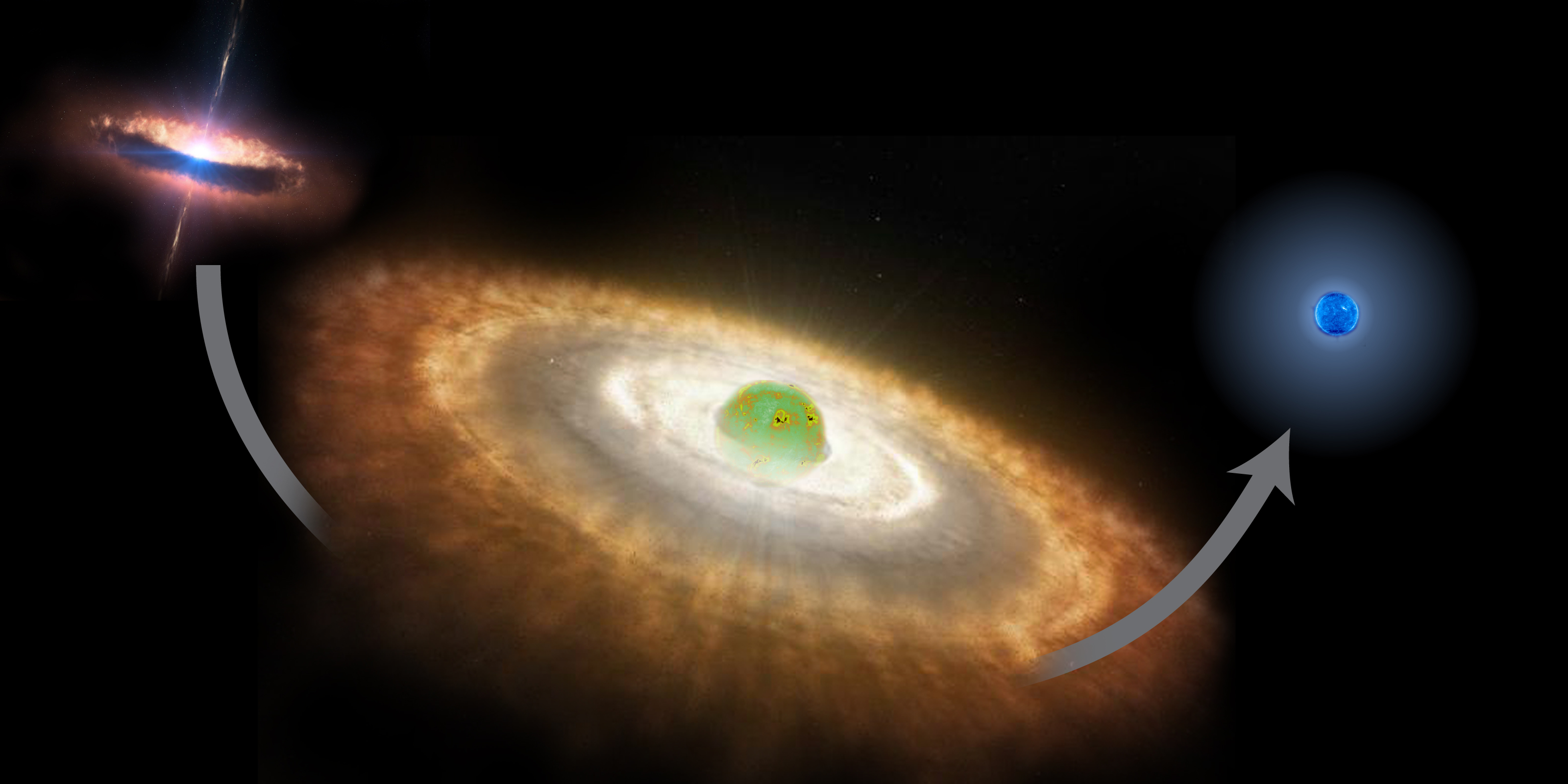 Newborn Massive Stars Dwarf Full-Grown Stellar Giants